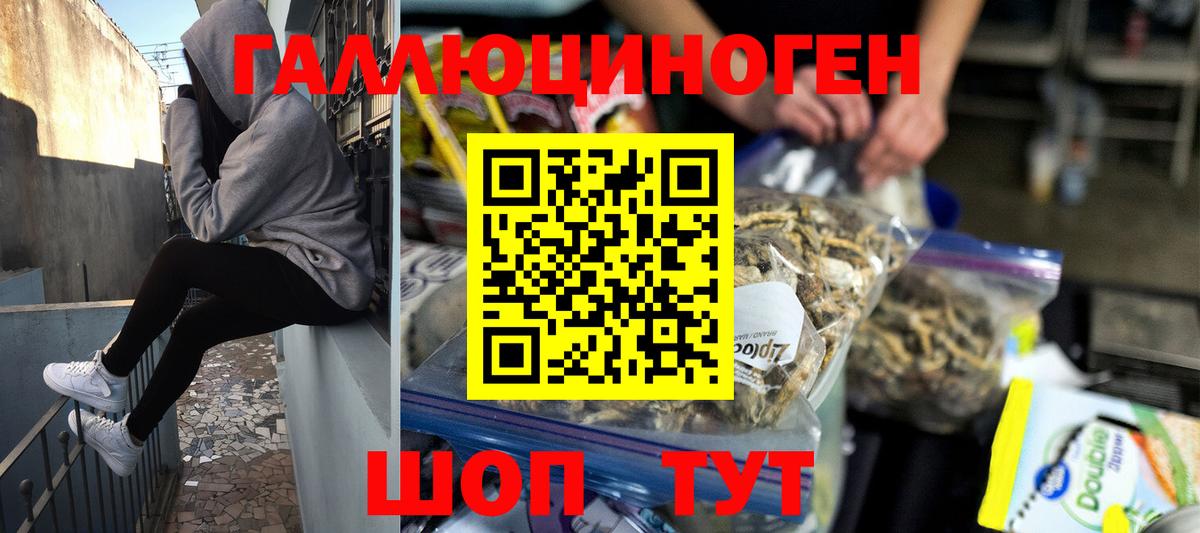Псилоцибиновые грибы прущие грибы Острогожск